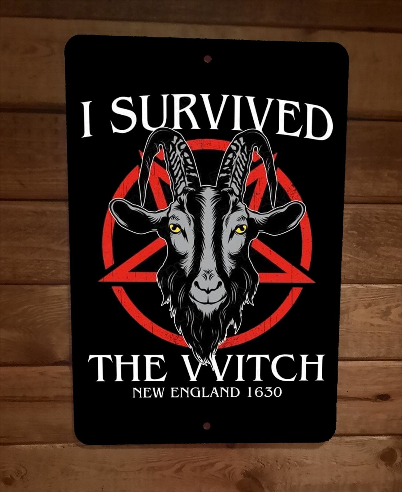 I Survived the VVITCH New England 1630 Horror Halloween 8x12 Metal Wall Sign