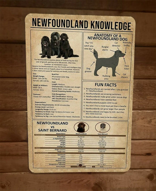 Newfoundland Dog Knowledge Anatomy and Fun Facts 8x12 Metal Wall Animal Sign