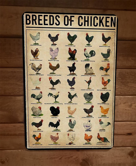 Breeds of Chickens 8x12 Metal Wall Sign Animal Poster