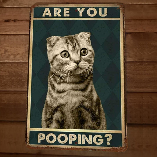 Are You Pooping Cat 8x12 Metal Wall Sign Animal Bathroom Poster #2