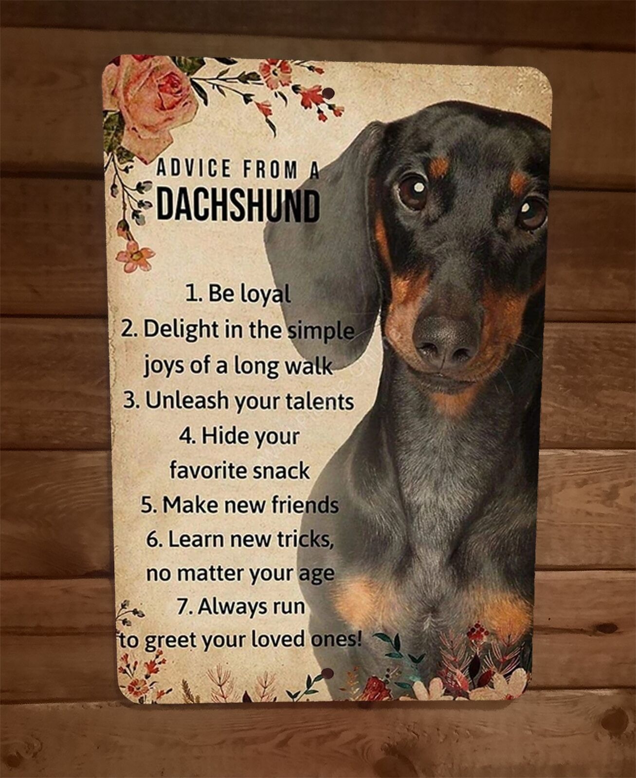 Advice From a Dachshund Dog 8x12 Metal Wall Sign Animal Poster