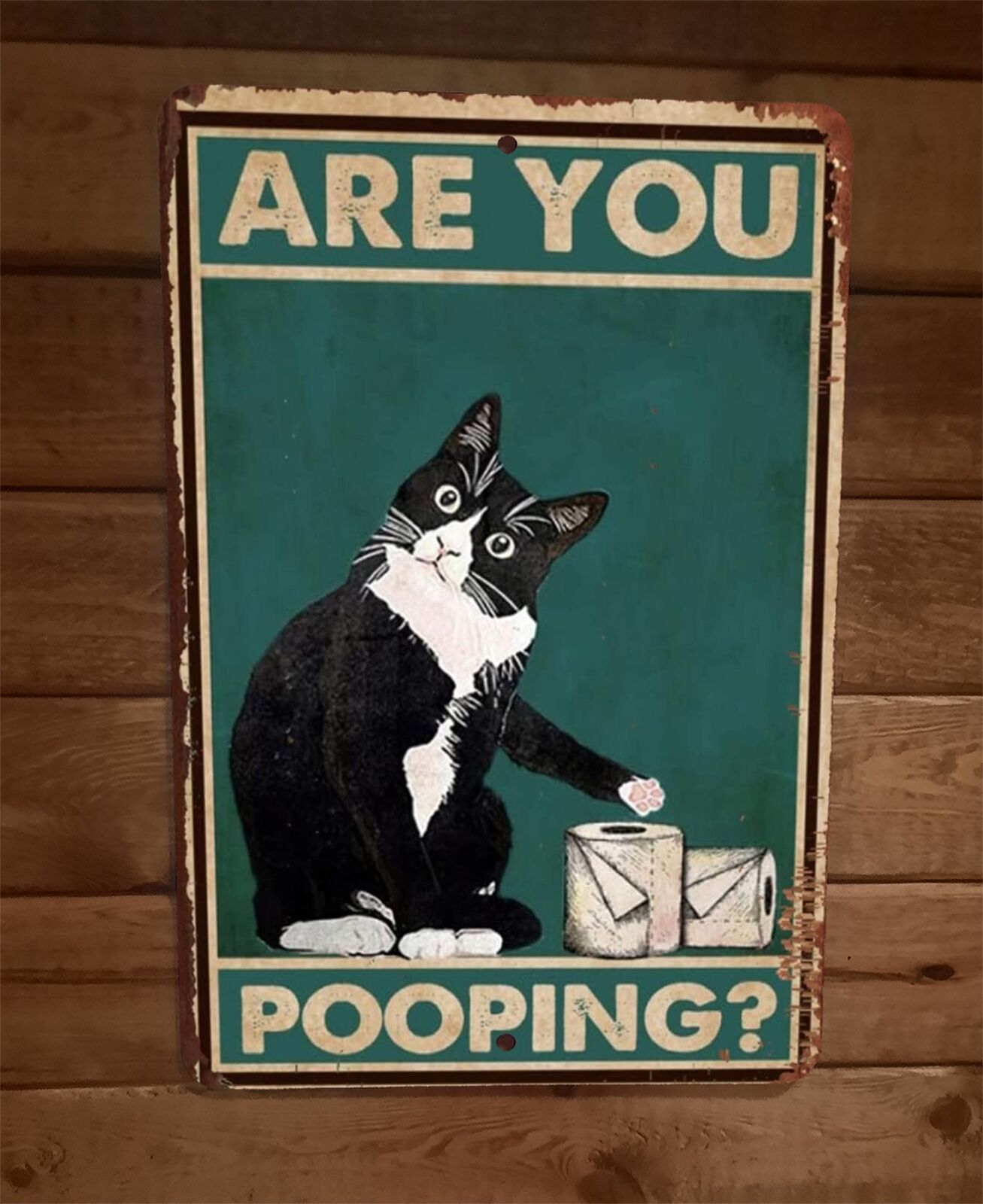 Are You Pooping Cat Toilet Paper 8x12 Metal Wall Sign Bathroom Animal Poster