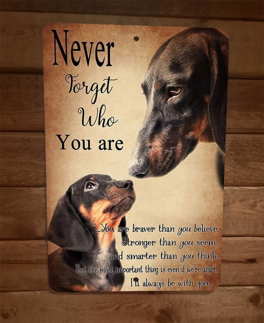 Never Forget Who You Are Dachshund Dog 8x12 Metal Wall Sign Animal Poster