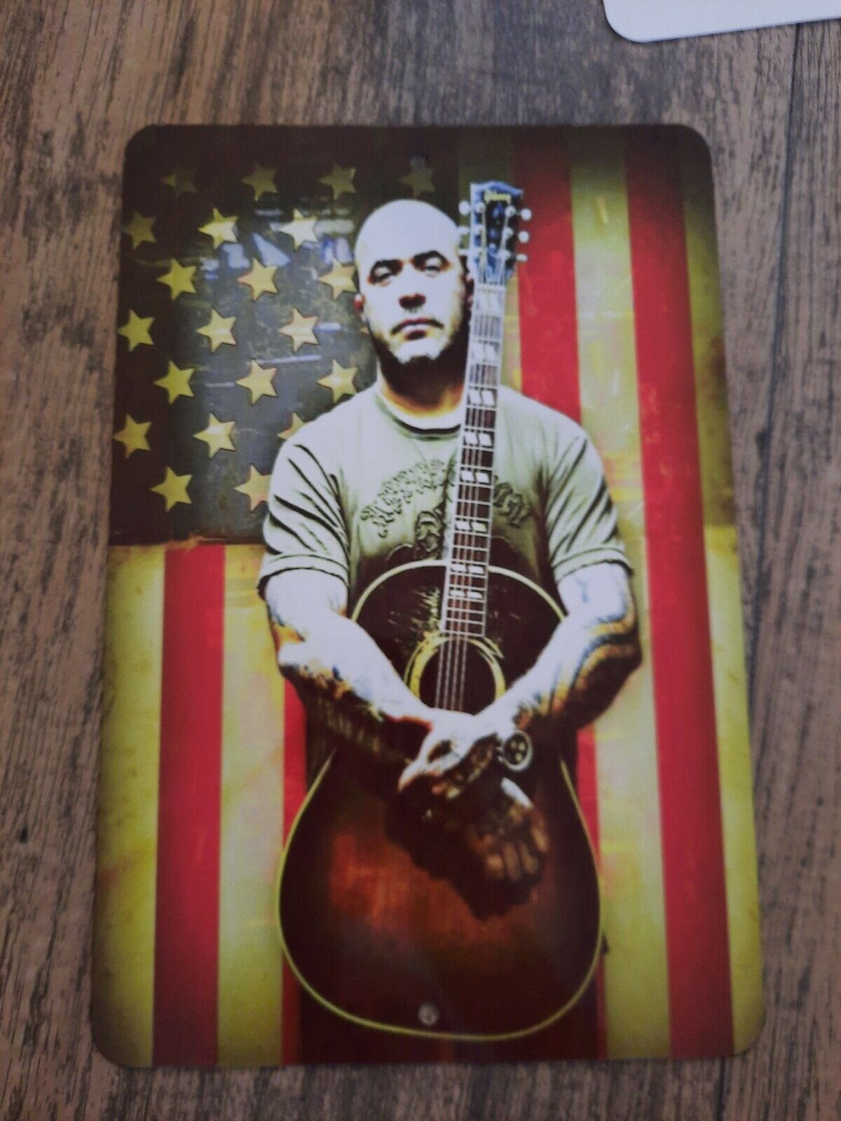 Aaron Lewis USA Flag and Guitar Photo 8x12 Metal Wall Sign Music