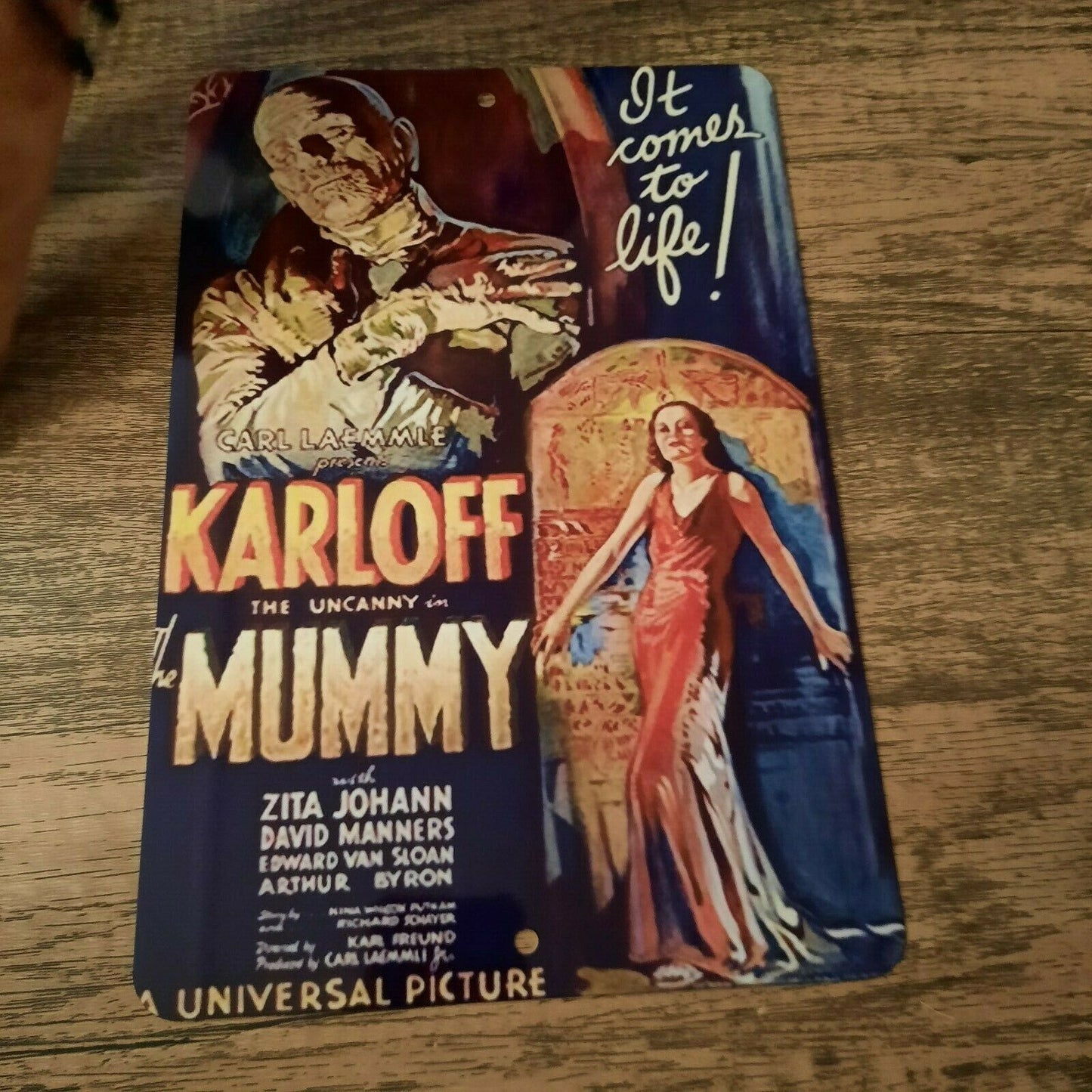 Borris Karloff The Mummy Poster Artwork 8x12 Metal Wall Sign Classic Horror Movie Poster