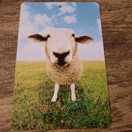 Sheep Staring at You 8x12 Metal Wall Sign Animals Funny Misc Psoter