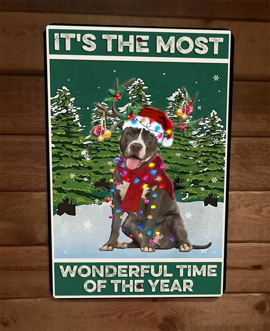 Most Wonderful Time of The Year Dog Xmas Christmas 8x12 Wall Sign Animal Poster