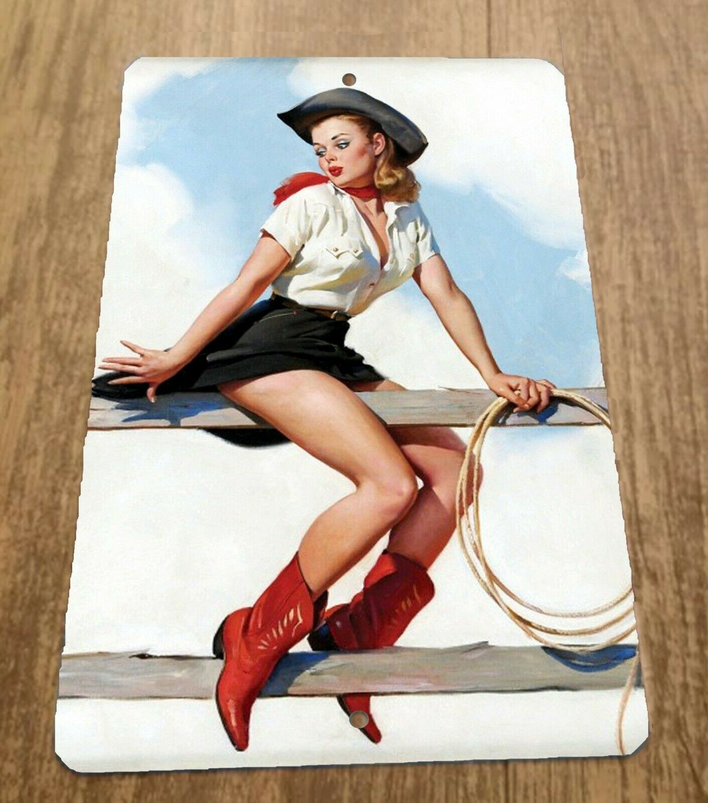 Cowgirl Sitting on Fence with Lasso Pinup Girl Art 8x12 Metal Wall Vintage Misc Poster Sign