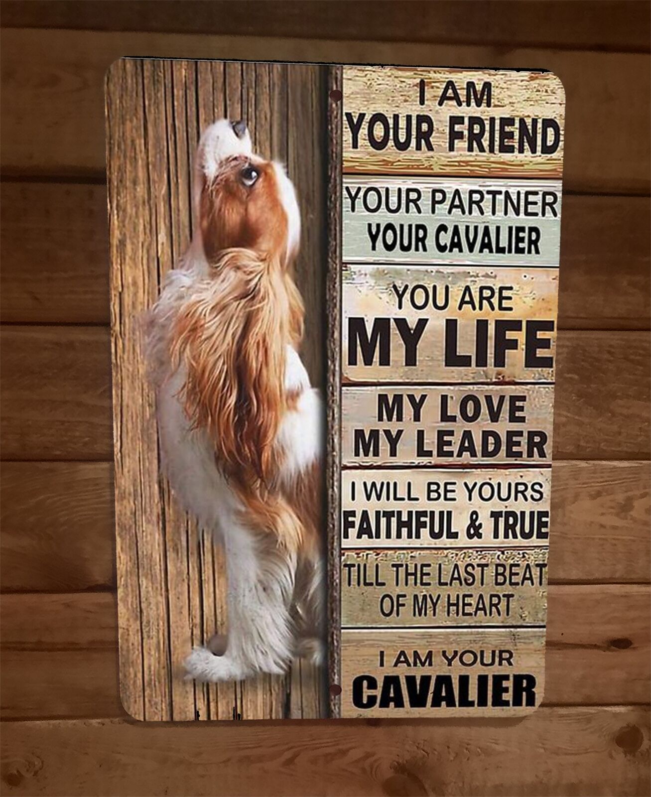 I am your Cavalier Friend 8x12 Metal Wall Animal Dog Sign