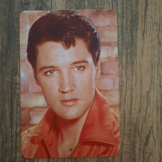 Old Blue Eyes Young Elvis Presley 8x12 Metal Wall Sign Music