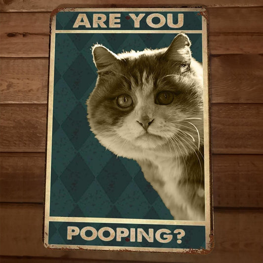 Are You Pooping Cat 8x12 Metal Wall Sign Animal Bathroom Poster #1