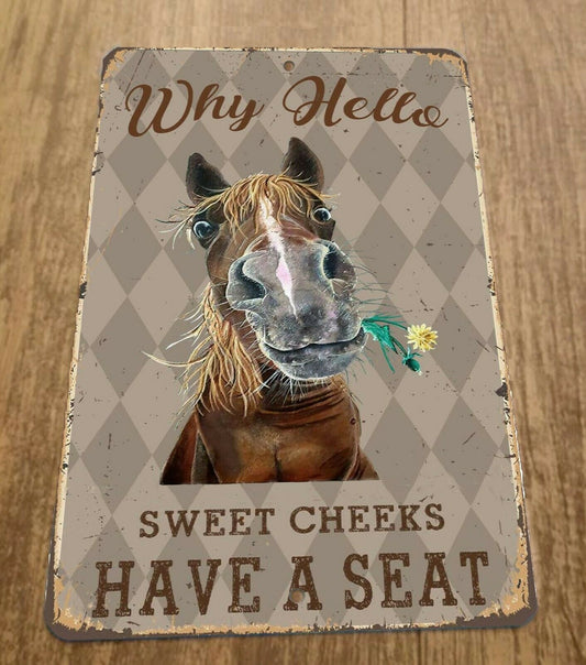 Why Hello Horse Sweet Cheeks Have a Seat 8x12 Metal Wall Animal Sign