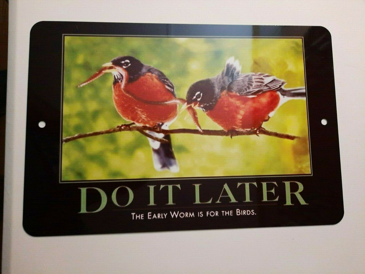 Do it Later The Early Worm is for the Birds Funny 8x12 Metal Wall Animal Sign Funny Quotes Phrases Misc Poster