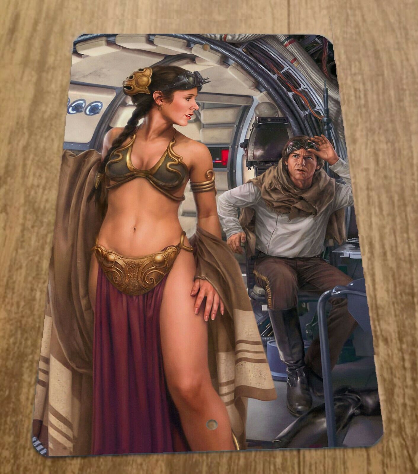 Star Wars Artwork Princess Leia Han Solo 8x12 Metal Wall Sign