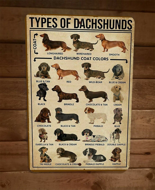 Types of Dachshunds Wiener Dog Animals 8x12 Metal Wall Sign