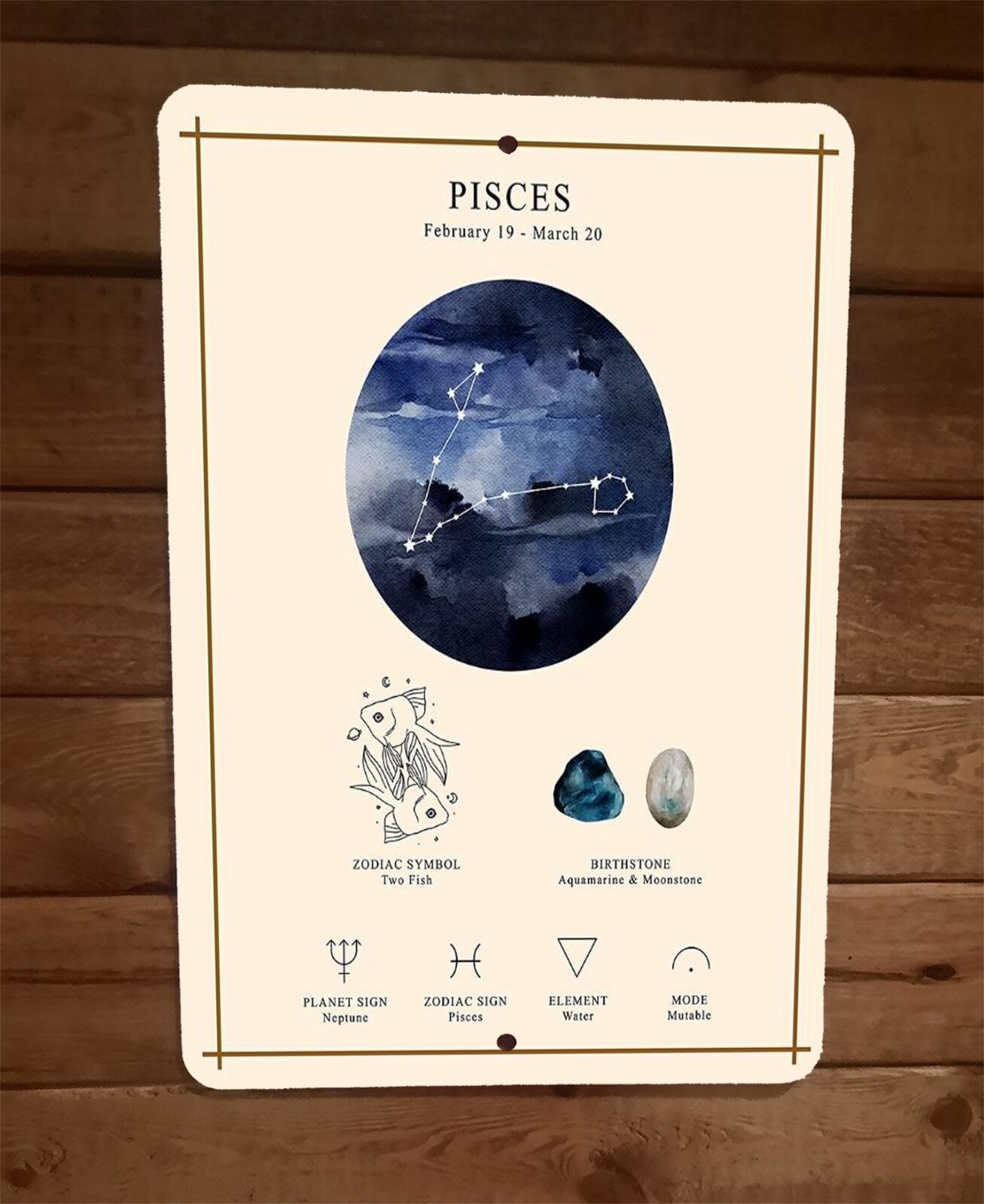Pisces Feb 19 March 20 Zodiac Spiritual Astrology 8x12 Metal Wall Sign Poster