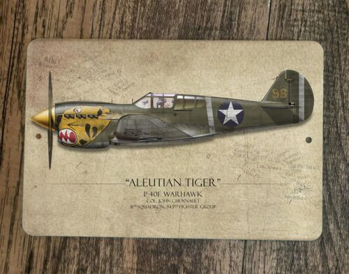 Aleutian Tiger P-40E Warhawk Military Jet Plane 8x12 Metal Wall Sign Poster