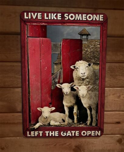 Live Like Someone Left The Gate Open Sheep 8x12 Metal Wall Sign Animal Poster