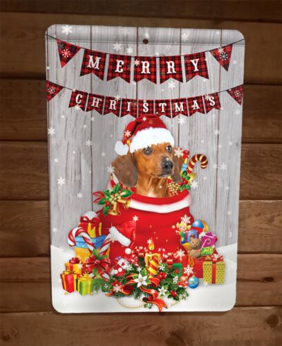 Merry Christmas Dachshund Wiener Dog Xmas 8x12 Metal Wall Sign Animal Poster #3