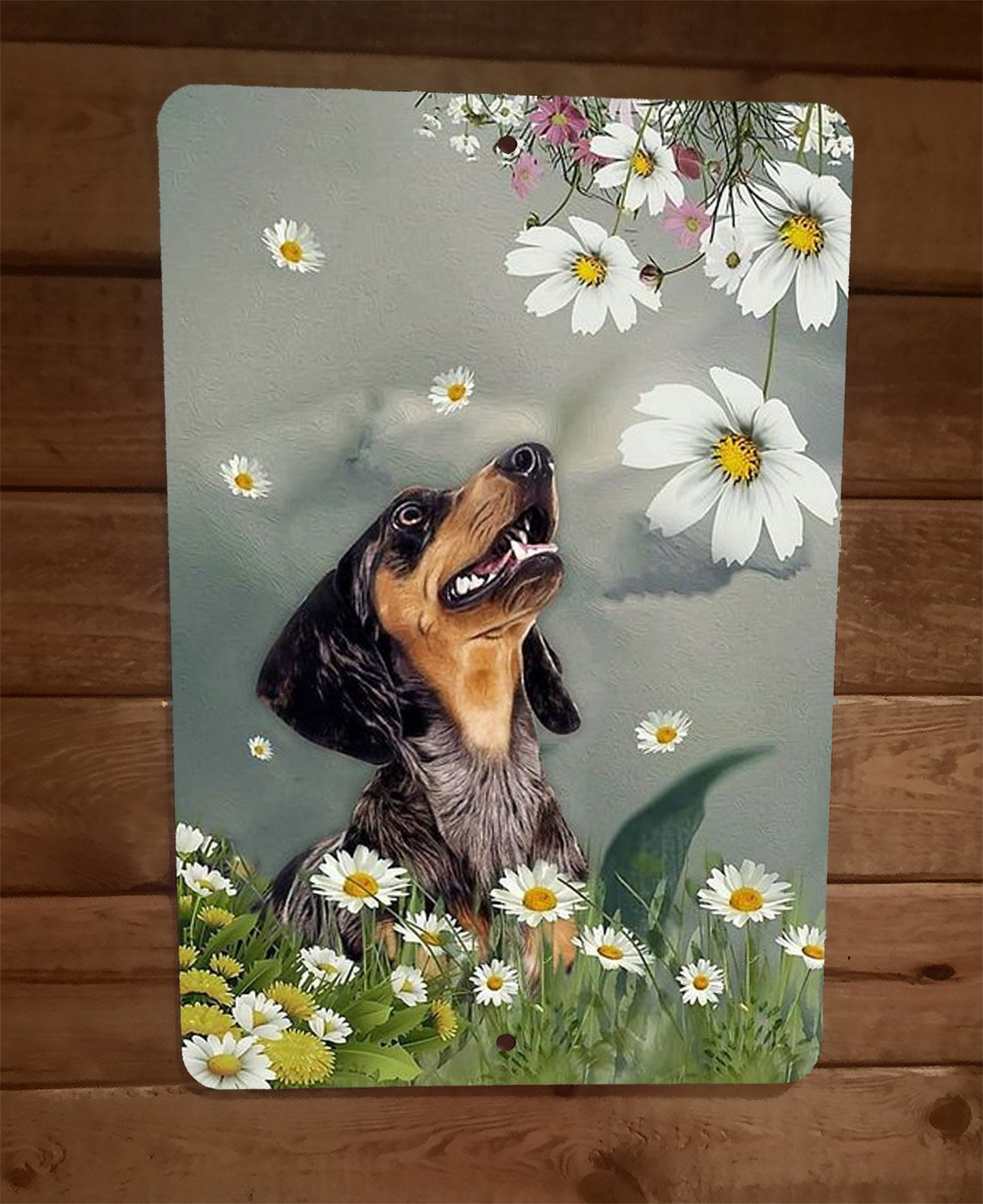 Wiener Dog Dachshund in Flowers Artwork 8x12 Metal Wall Sign Animals